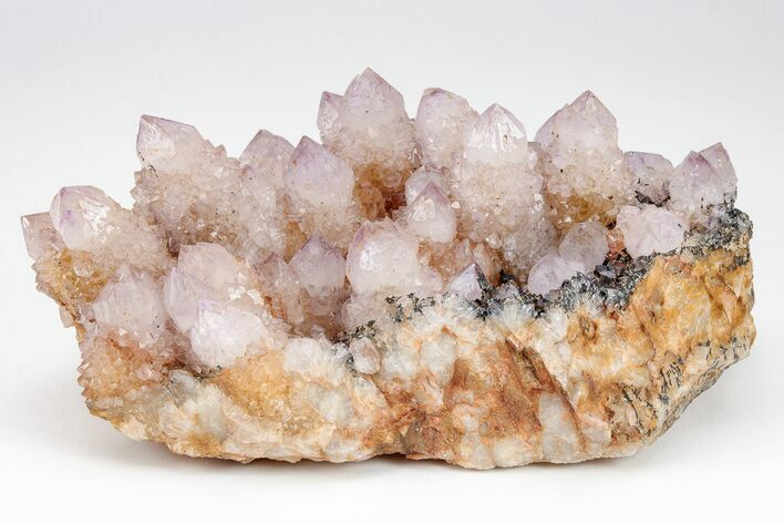 Cactus Quartz (Amethyst) Crystal Cluster - South Africa #207556